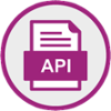 API Icon