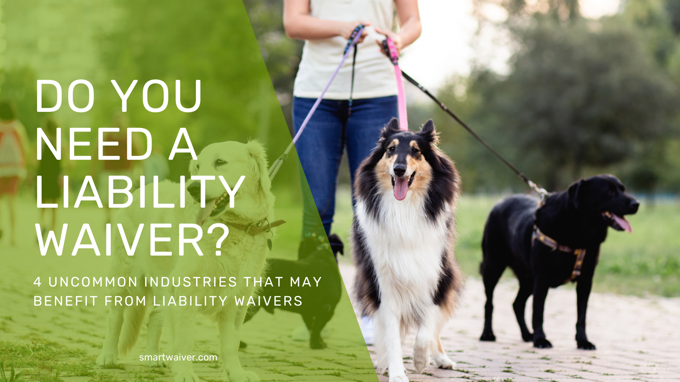 do you need a liability waiver